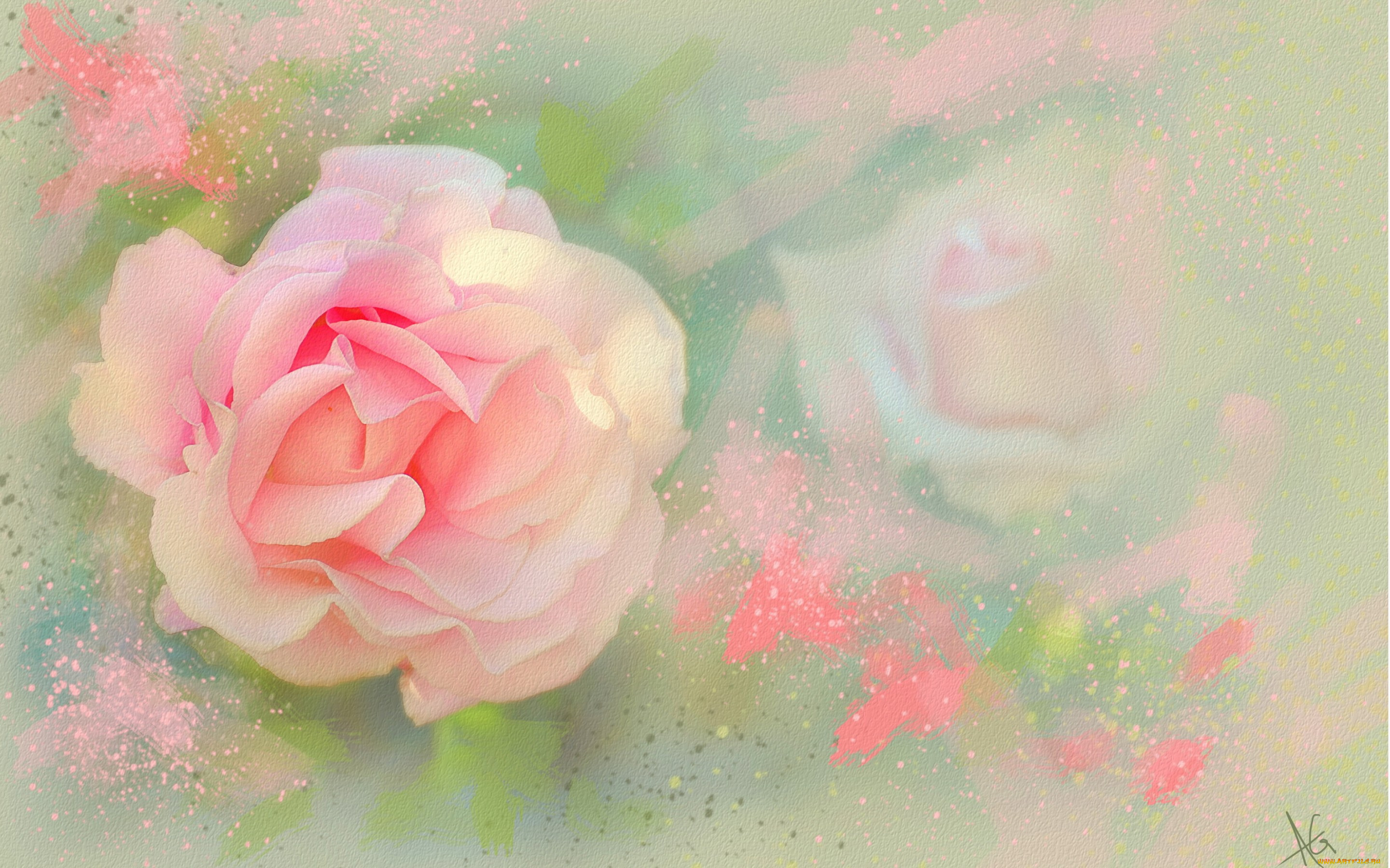 Розово зеленые розы живопись